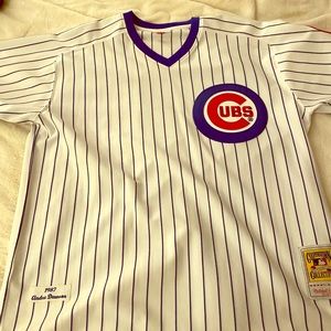 Authentic Mitchell & Ness Andre Dawson Jersey